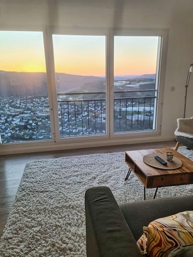 Alojamiento Moselsteig: 6 apartamentos vacacionales, cafetería y vivienda del operador con vistas al Mosela – Panoramablick