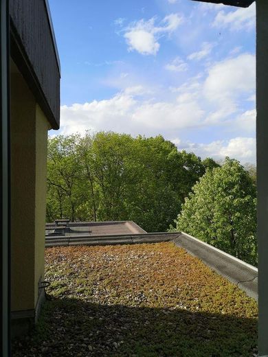 Blick aus dem Küchenfenster
