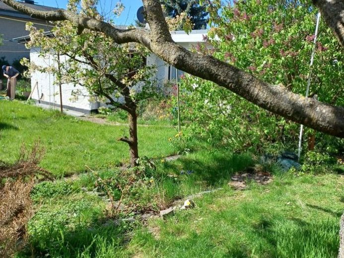 Ruhiges Wohnen im Grünen: Realisieren Sie hier ihr eigenes Zuhause in einer traumhaft schönen Umgebung – Foto 1