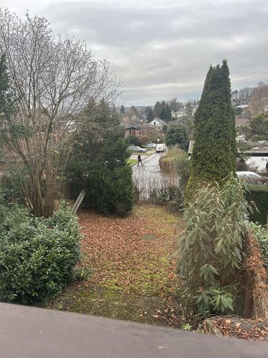 Blick in den Garten aus OG