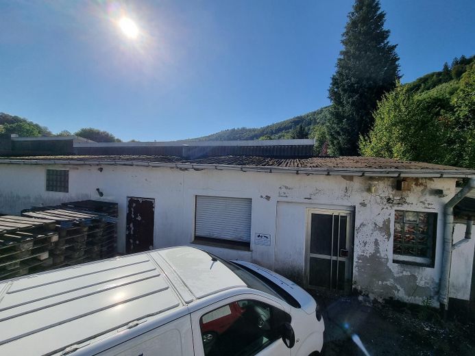 Edificio residencial con 4 unidades de vivienda, amplia parcela ajardinada y de patio, así como edificio comercial independiente – Gewerbe- und Lagerhalle