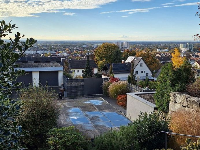 Blick vom hinteren Garten