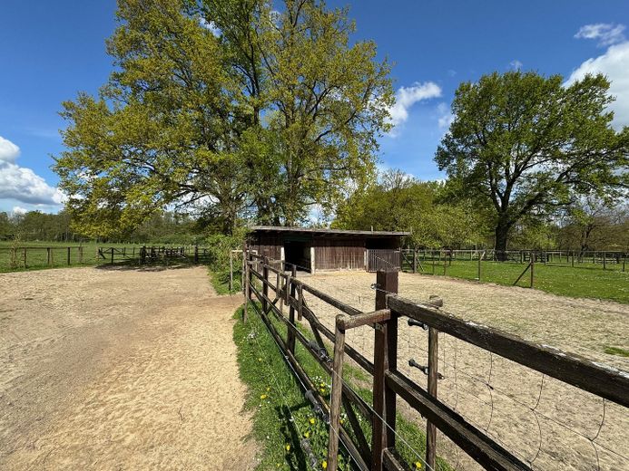 Exkl. Anwesen, Family-Office oder Pferdehof nur 64 km von Hamburg - max. bis 30 ha Eigenland möglich – Paddocks für Pferde
