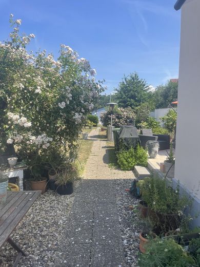 Blick in den Garten