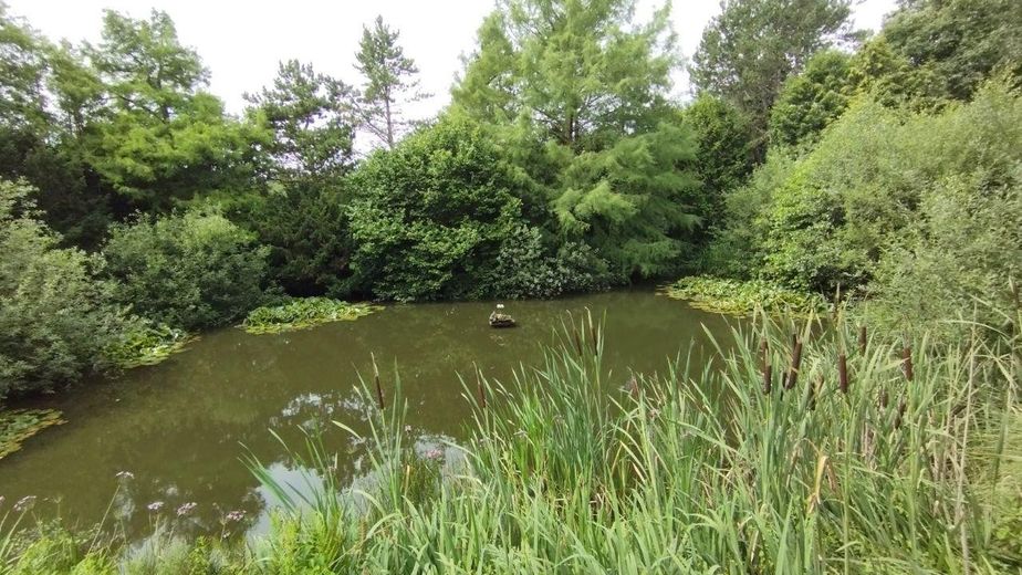 Grundstücksteich