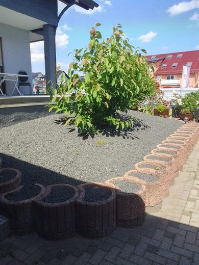 Blumenbeet an der Terrasse