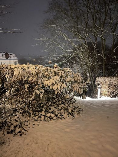 Wohnen, wo Hamburg zur Elbe hinabsteigt – Garten im Schnee bei Nacht