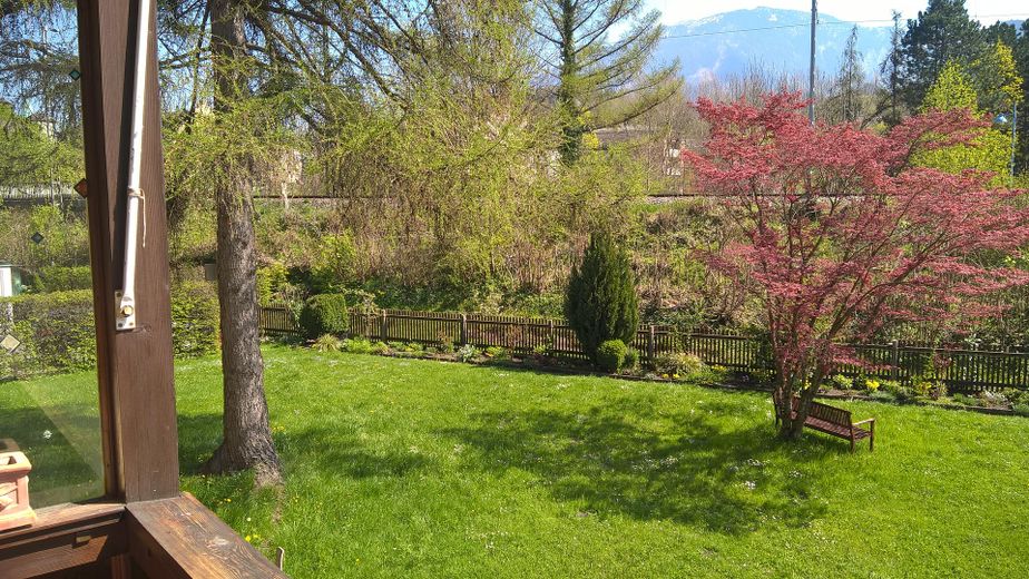 Blick vom Balkon in den Garten