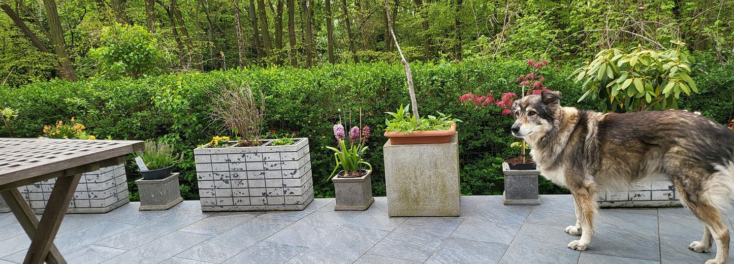 Mehrgenerationenhaus 371 m², Waldidyll am Flughafensee + Aufstockungspotenzial um 155 m² – Terrasse am Wald