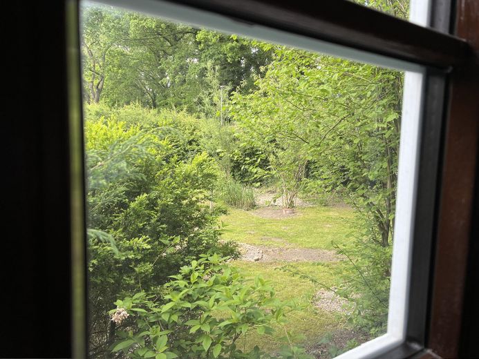 Blick aus dem Wohnzimmer 