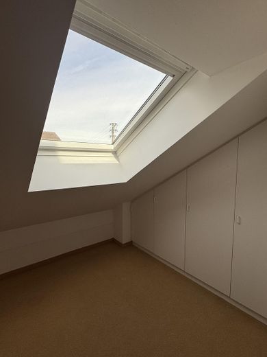 Dachflächenfenster im SZ