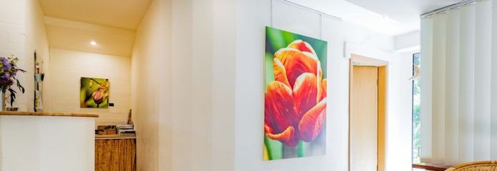 Arbeiten in angenehmer Atmosphäre – vielseitige Büro-/Praxisfläche mit Terrasse und Gartenbereich