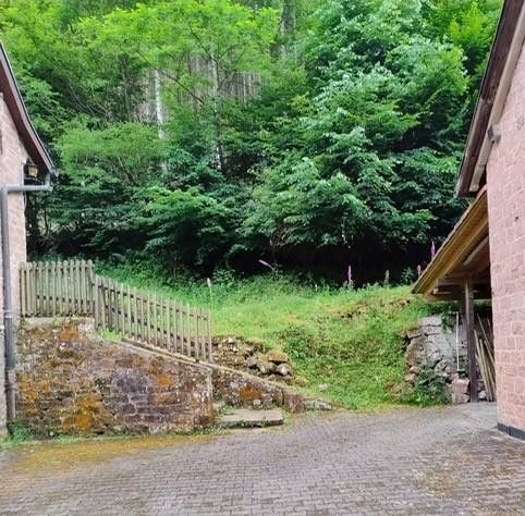 Alleinlage im Pfälzer Wald - hier ist alles ist hier möglich. – zusätzliche Parkfläche