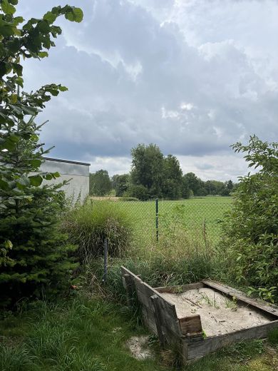 Blick aufs Feld
