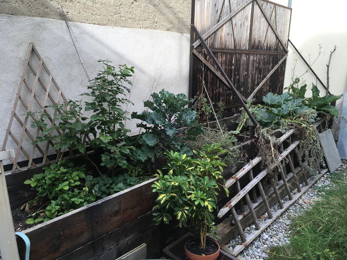 Dachgarten Obergeschoß/Beete