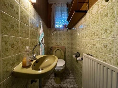 Platz für Generationen, Ideen und Zukunft – Vielseitiges Wohnhaus mit großem Grundstück in Kaden – WC Erdgeschoss