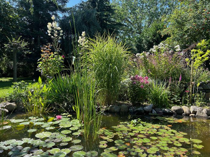 Wunderschöner Garten