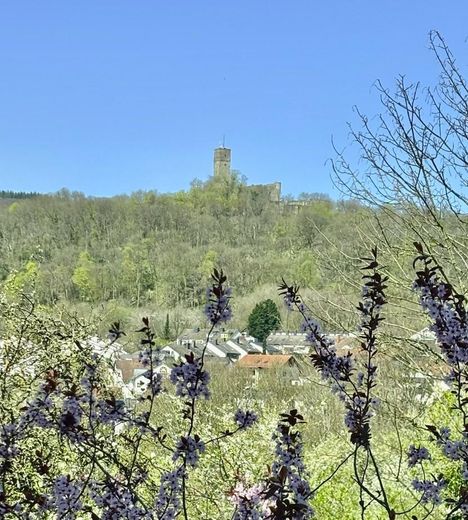 Burgblick auf allen Etage