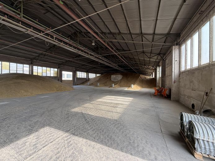 Großzügige Gewerbefläche mit Lagerhallenbestand und Büro in Neustadt a. d. Orla – Lagerhalle innen