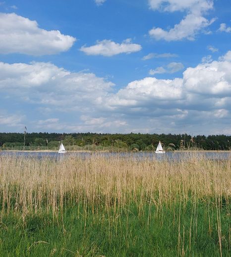 Seeufer vor dem Grundstück