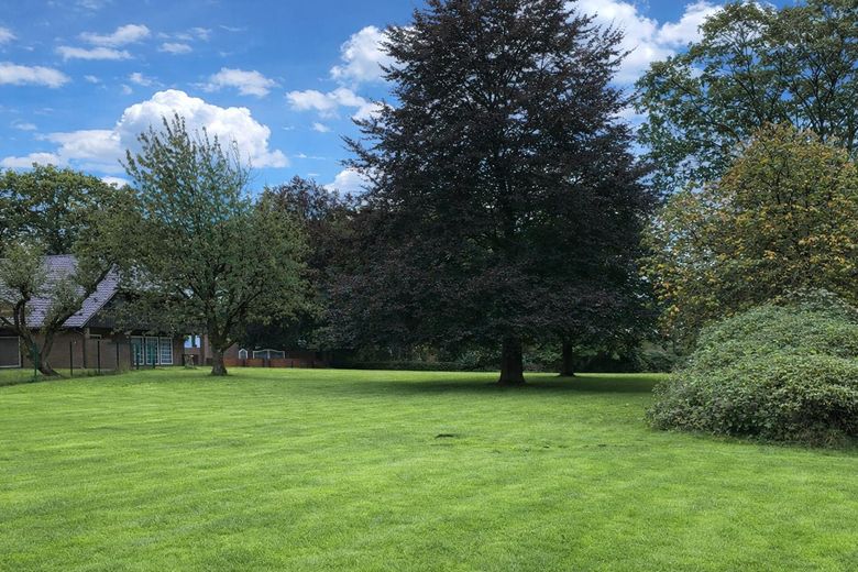 Resthof / Landhaus + 600 m² Hallenfläche – Wohnen & Arbeiten in Westerstede – Großer Garten