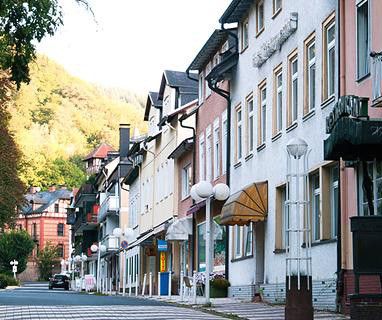 Apartamento dúplex de 4,5 habitaciones en el Kurpark de Schlangenbad – Schlangenbad