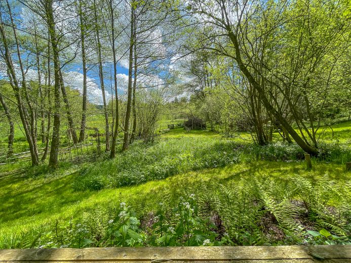 Historische Wassermühle am Lüßbach – einzigartiges Refugium auf 2.678 m² bei Berg – Garten