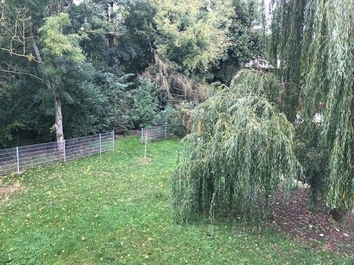 Ausblick Schlafzimmer 2