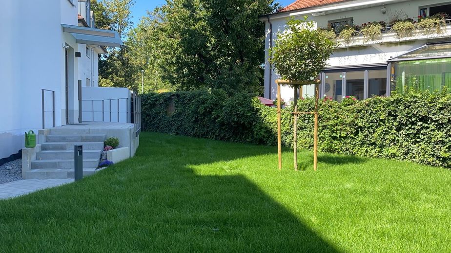 Grünanlage