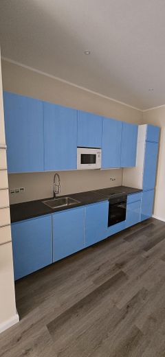 Einbauküche (Folie muss ab)