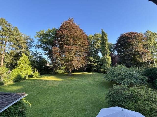 Premium-Baugrundstück in Wellingsbüttel – Blick nach Süden in den Garten