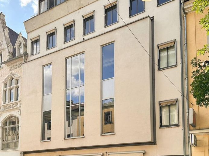 Bestlage auf der Sorge! Komplettes Büro-/Geschäftshaus zur Miete im Herzen von Gera! – Foto 1