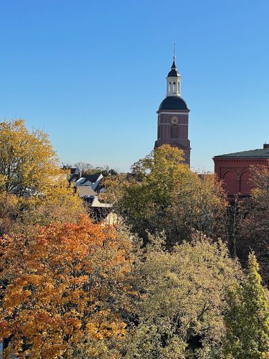 senza commissioni, appartamento di 3 locali ai margini di Berlino, posizione da sogno, terrazze soleggiate – Blick vom Balkon
