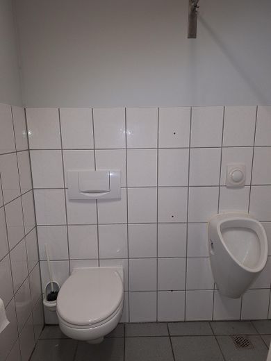 Gewerbe Halle für Handwerk, Praxis oder Verkauf in Zell - Barl – 2. Toilette