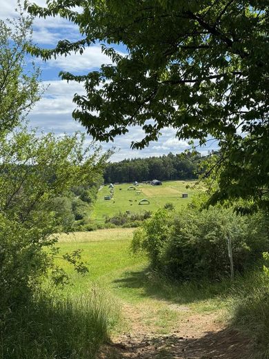 Spaziergang zum Büchelberg