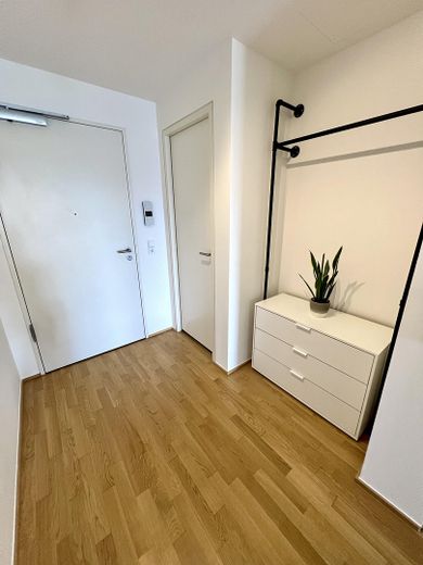 Möblierte 2-Zimmer-Wohnung in erster Reihe zum Main – Eingangsbereich (Garderobe)