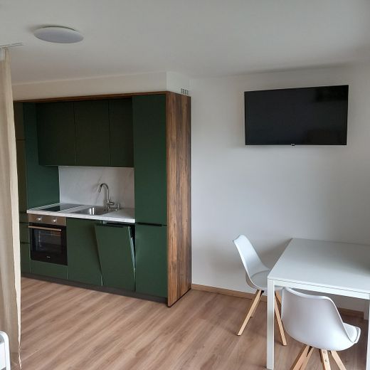 Möbliertes Apartment für Pendler, Fachkräfte, Führungskräfte – Einbauküche