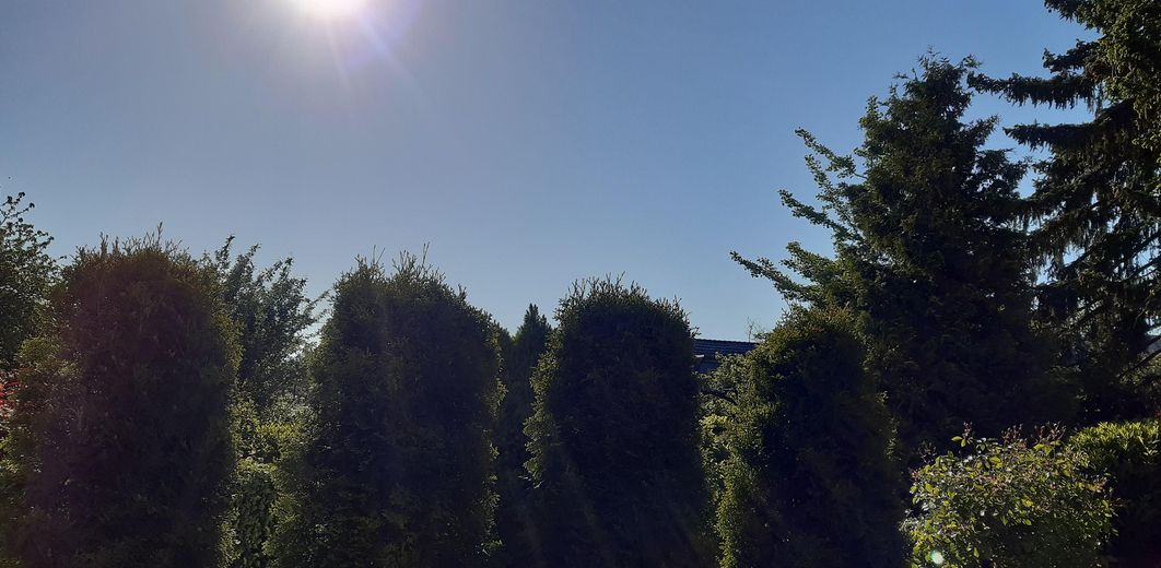 Morgensonne