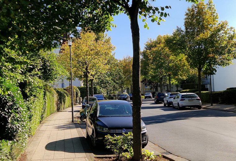 Kostenloses Parken Gotenstr.