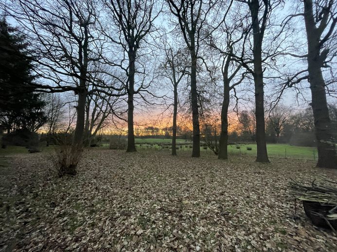 XL-gospodarstwo rolne nad jeziorem Vörder See! Działka 14.013 m² – miejsce dla zwierząt i na hobby – Herbstliche Morgenstimmung