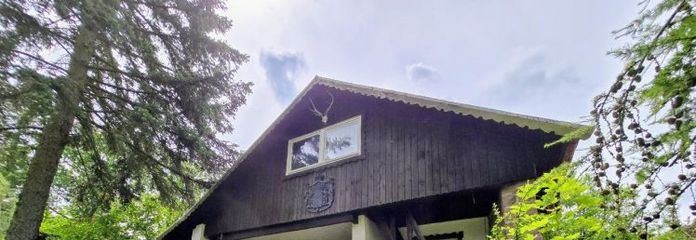 Mały dom, duża działka – całoroczne mieszkanie w Dübener Heide