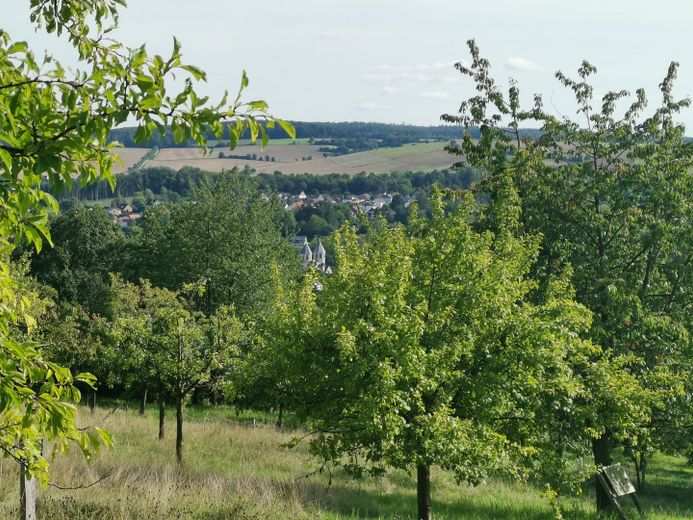 Grüne Oase am Rande der Altstadt – Umgebung