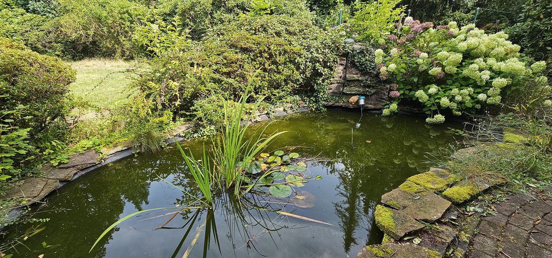Altencelle’de idil: 1200qm üzerinde havuzlu müstakil ev – Teich