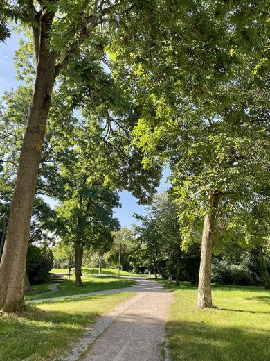 Zentrumsnahe Wohnung mit 2,5 Zimmern und Blick ins Grüne! (KfW55) – Parkblick