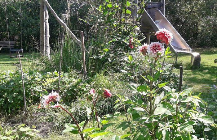 Garten vor dem Spielplatz