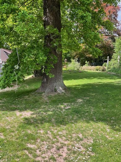 Gartenimpression