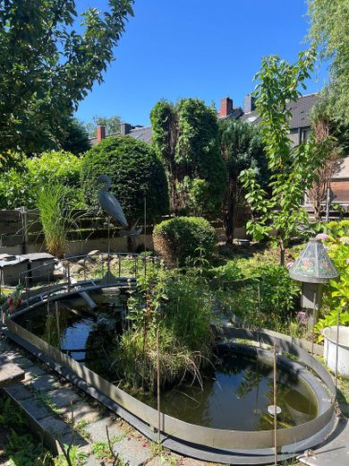 Gartenteich mit Fischen