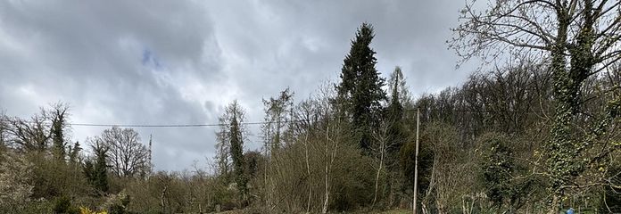 Grundstück