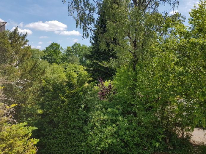 Casa a schiera centrale tranquilla a Neukeferloh - 5 locali + locale hobby + garage – Blick von Schlafen 1