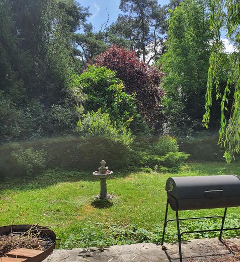 Ruhiges Wald-Idyll in Stolzenhagen ca.. 400 qm Bauland von privat – Foto 4